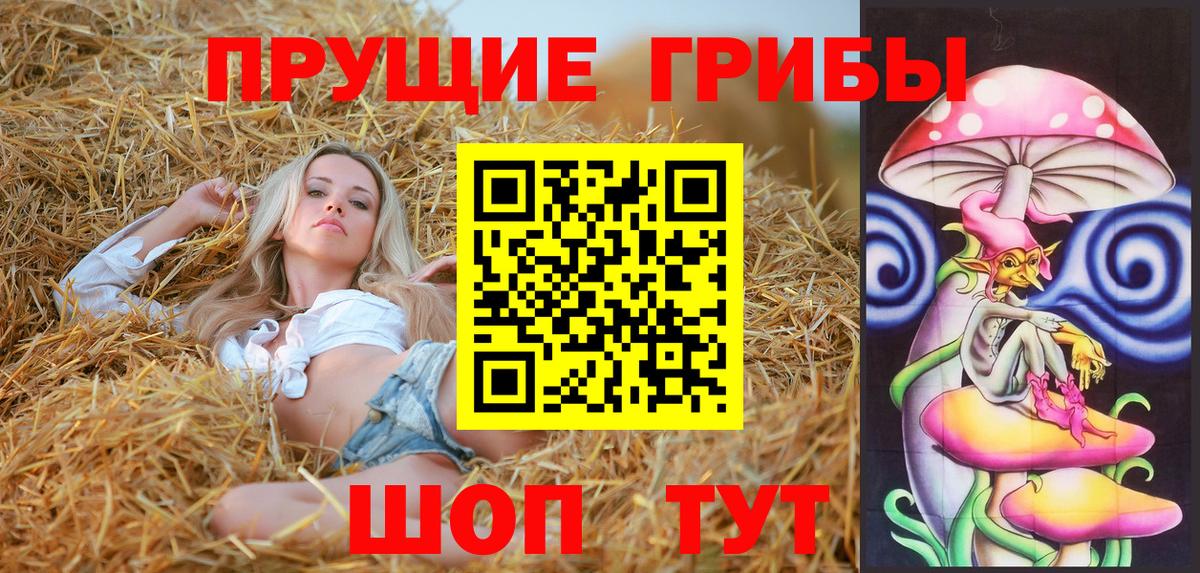 Галлюциногенные грибы Cubensis Майский